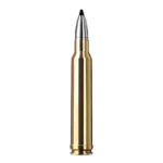 RWS .300 Win. Mag. SPEED TIP PROFESSIONAL 10,7g 165gr