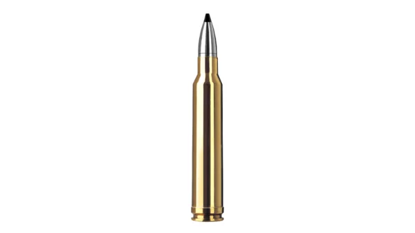 RWS .300 Win. Mag. SPEED TIP PROFESSIONAL 10,7g 165gr
