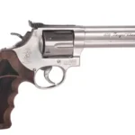 Smith und Wesson Target Champion 686 6 zoll 357magnum stainless matt