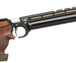 Steyr Evo 10